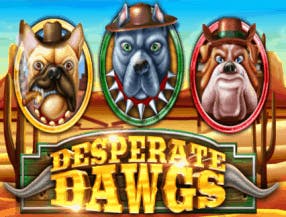 sss game bet