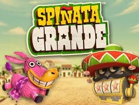 betfair dono